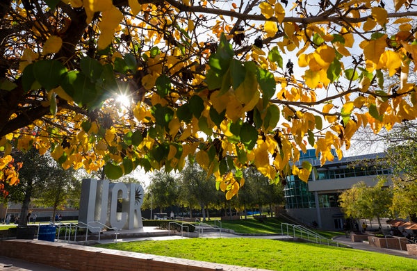Fall colors warm the campus on December 11, 2019. 